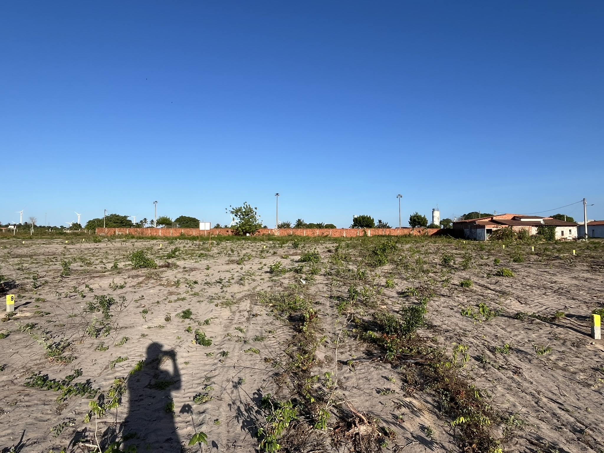 Terrenos demarcados do Novo Campestre em Trairi/CE — visão ampla do loteamento